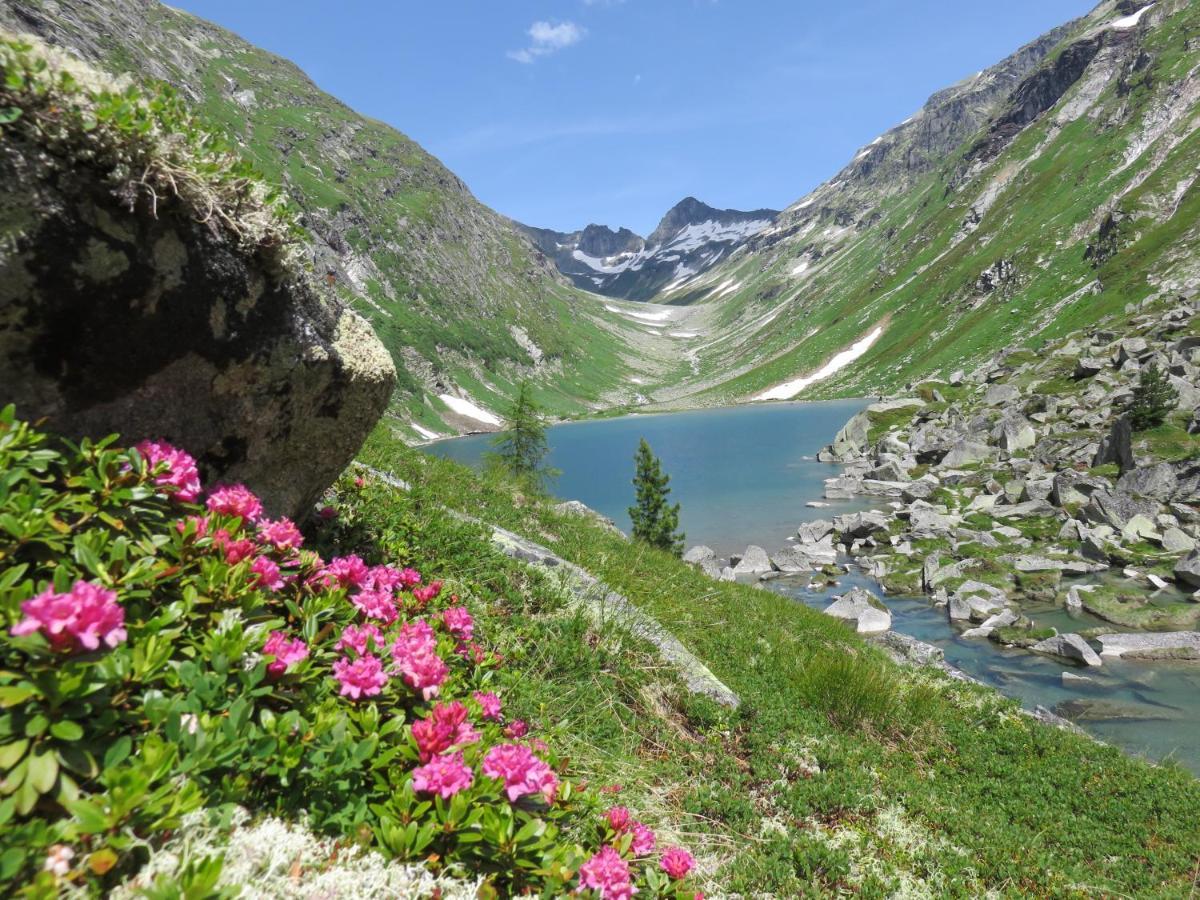 Gaestehaus Zedlacherhof Matrei in Osttirol Zewnętrze zdjęcie