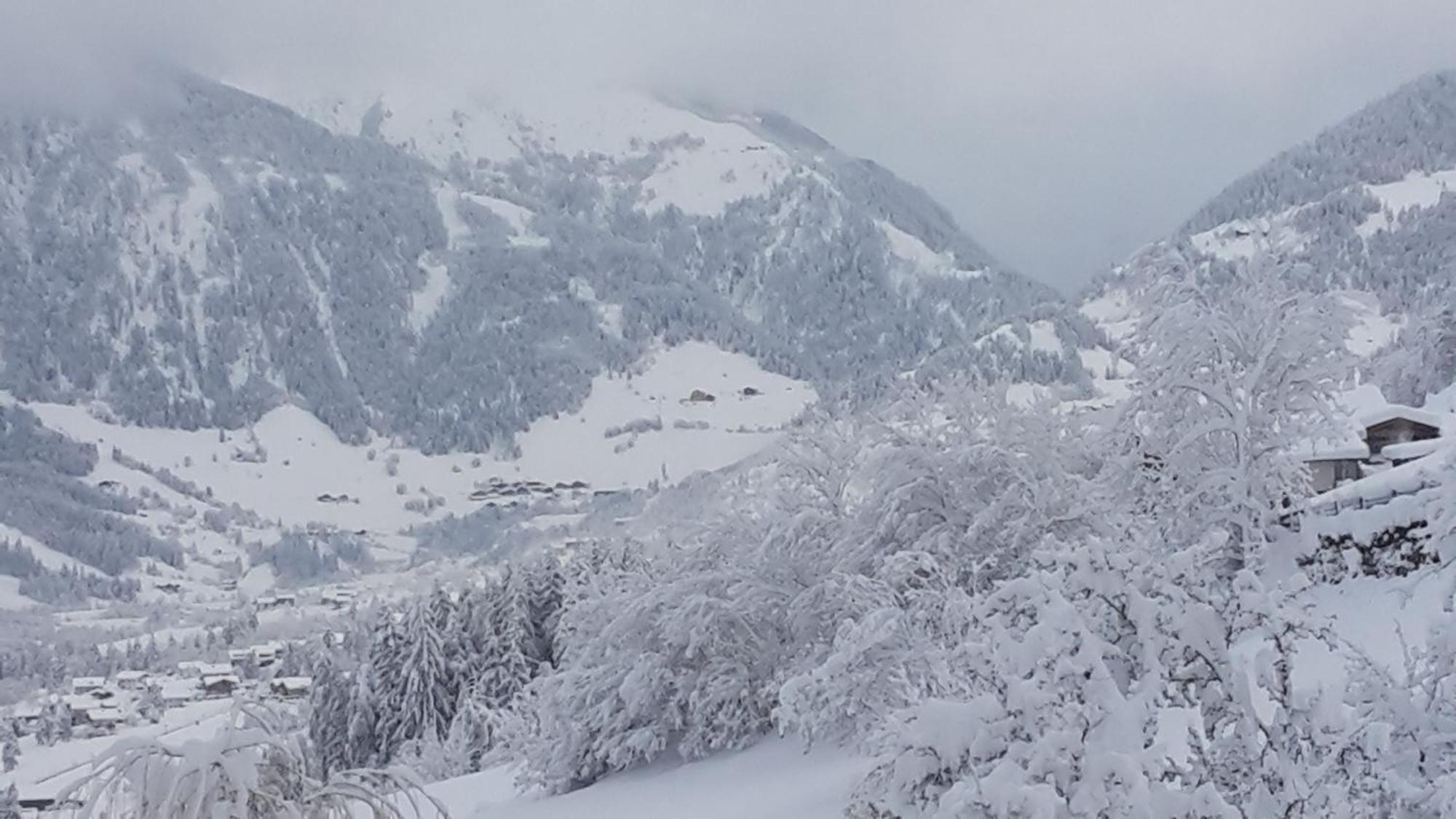 Gaestehaus Zedlacherhof Matrei in Osttirol Zewnętrze zdjęcie