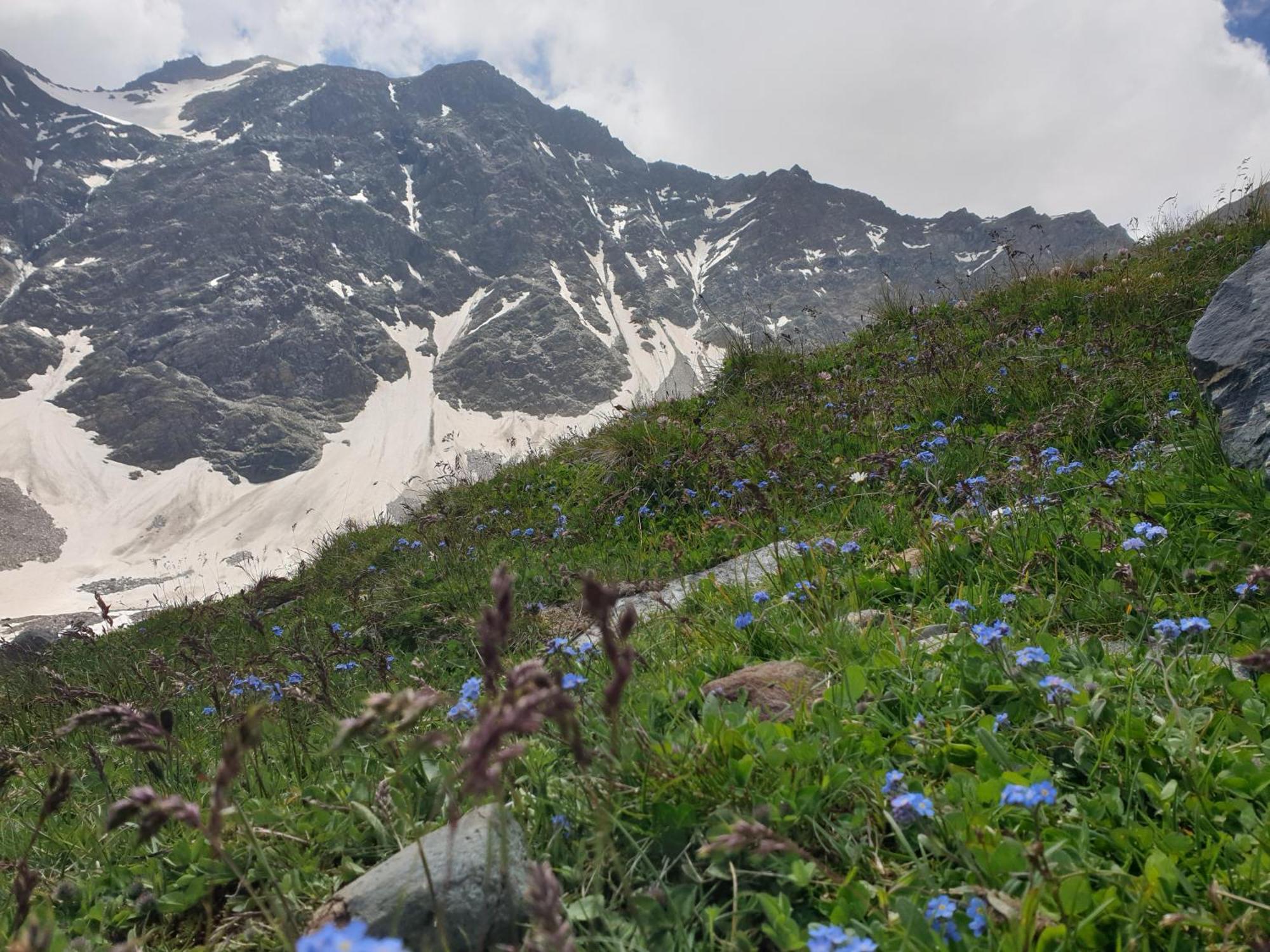 Gaestehaus Zedlacherhof Matrei in Osttirol Zewnętrze zdjęcie