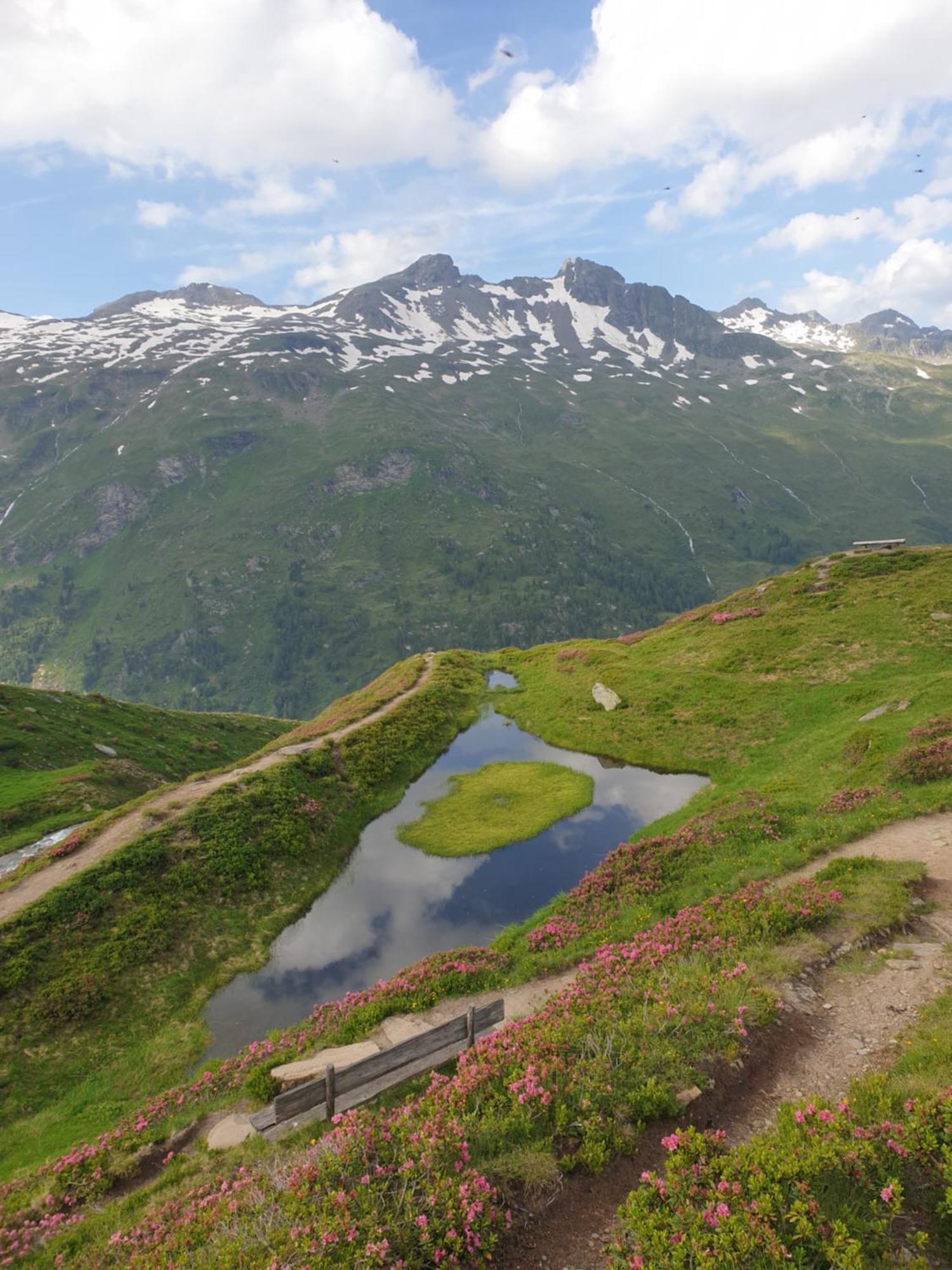 Gaestehaus Zedlacherhof Matrei in Osttirol Zewnętrze zdjęcie