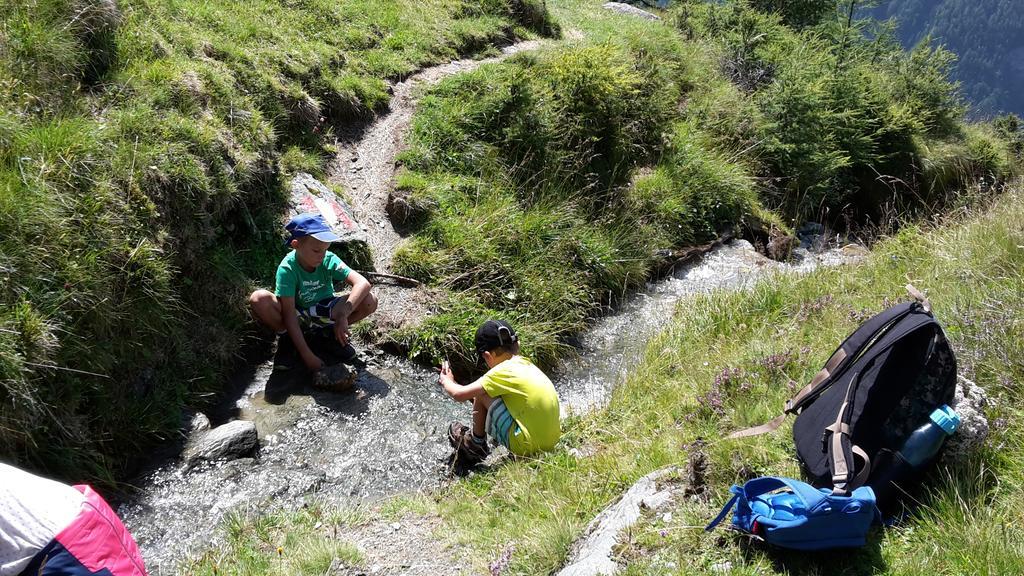 Gaestehaus Zedlacherhof Matrei in Osttirol Zewnętrze zdjęcie