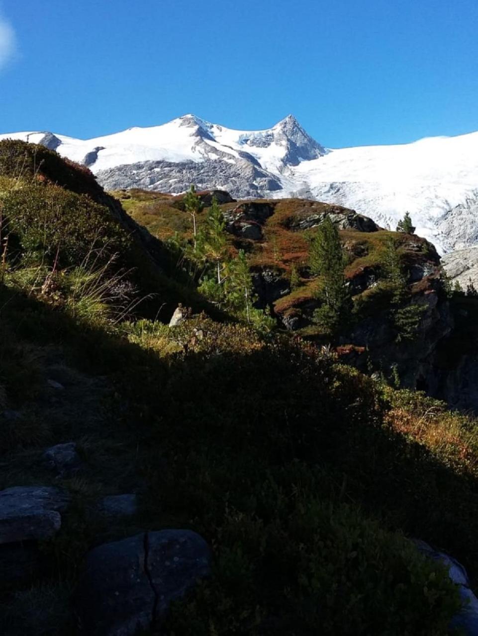 Gaestehaus Zedlacherhof Matrei in Osttirol Zewnętrze zdjęcie